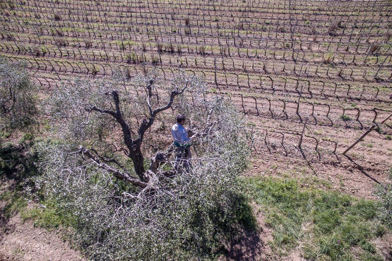 Agriturismo Ristorante 蒙泰亚尔真塔廖 外观 照片