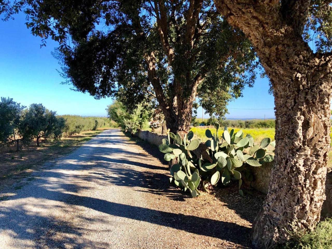 Agriturismo Ristorante 蒙泰亚尔真塔廖 外观 照片